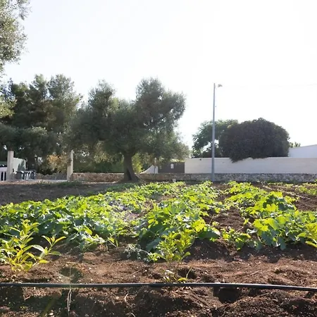 Agrifamily Village * San Vito dei Normanni